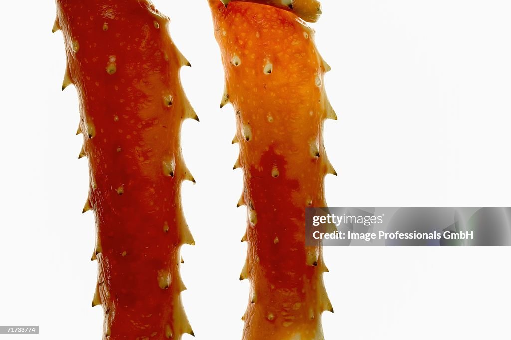 King crab legs (close-up)