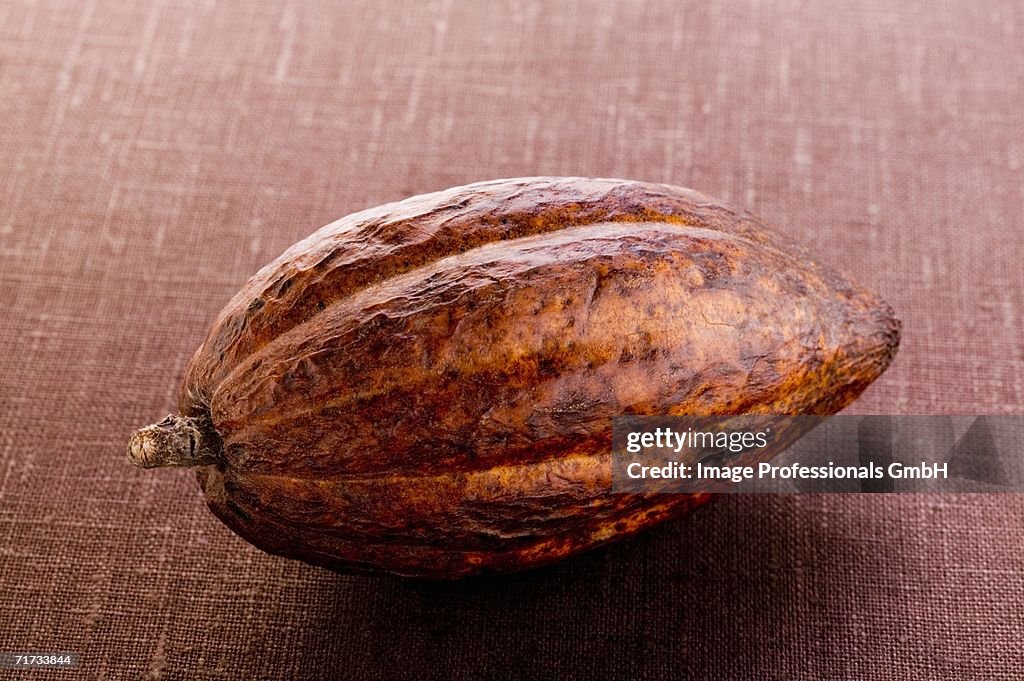 Cacao pod on brown background