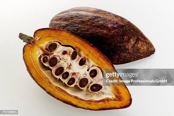 cacao pod, halved - kakaobohnen stock-fotos und bilder