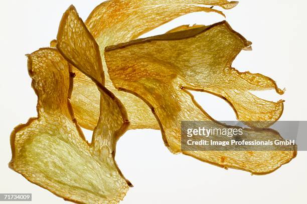 deep-fried ginger slices, backlit - vegetable chips stock pictures, royalty-free photos & images