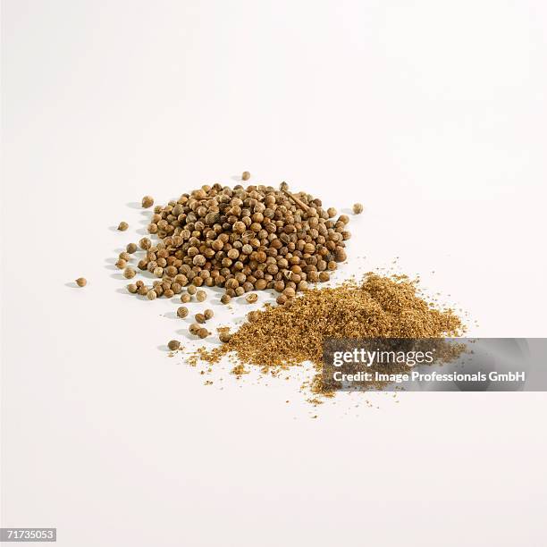 coriander, whole and ground - cilantro stock pictures, royalty-free photos & images