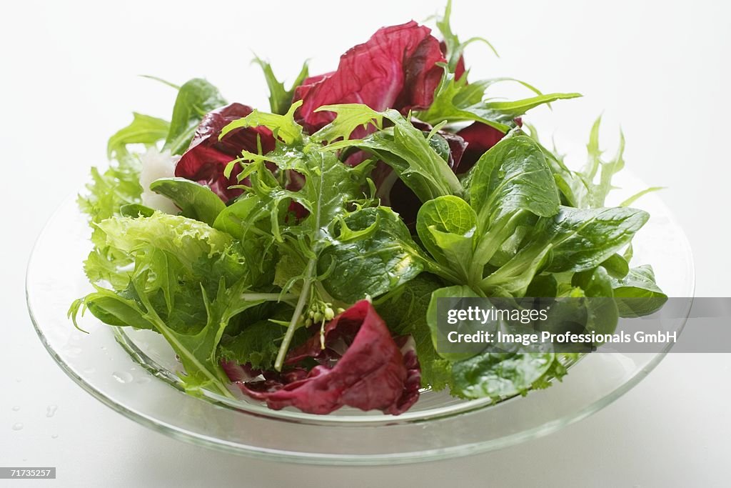Mixed salad leaves on glass plate