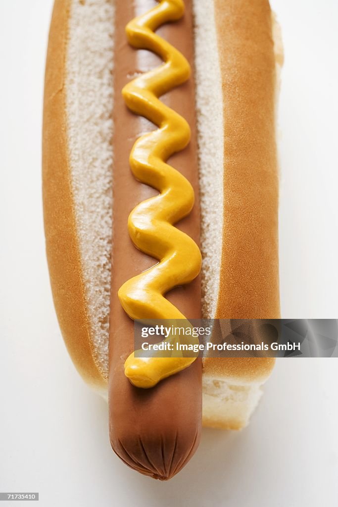 Hot dog with mustard