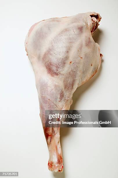 leg of lamb - gigot stock pictures, royalty-free photos & images