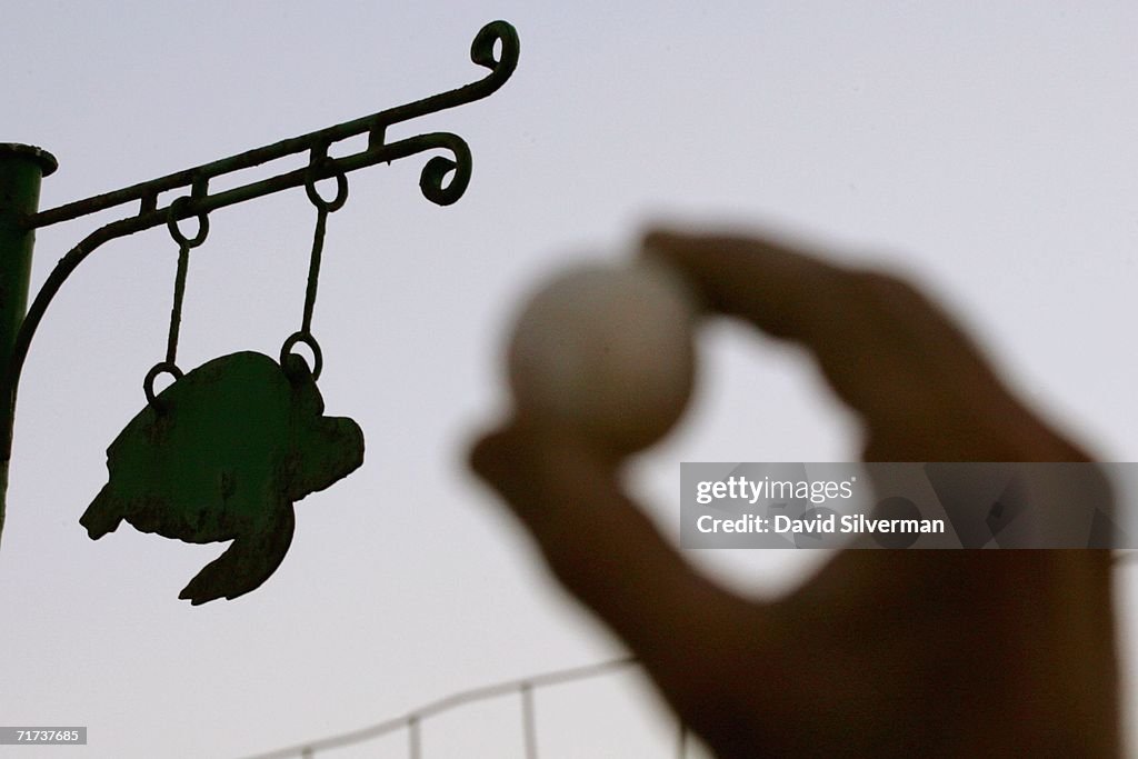 Israeli Ecologists Struggle To Protect Mediterranean?s Turtles