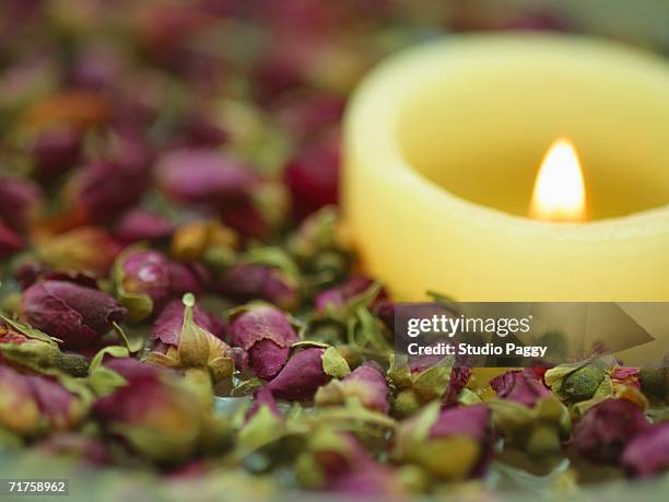 close-up of a burning candle with dried roses - burning the candle at both ends stock pictures, royalty-free photos & images