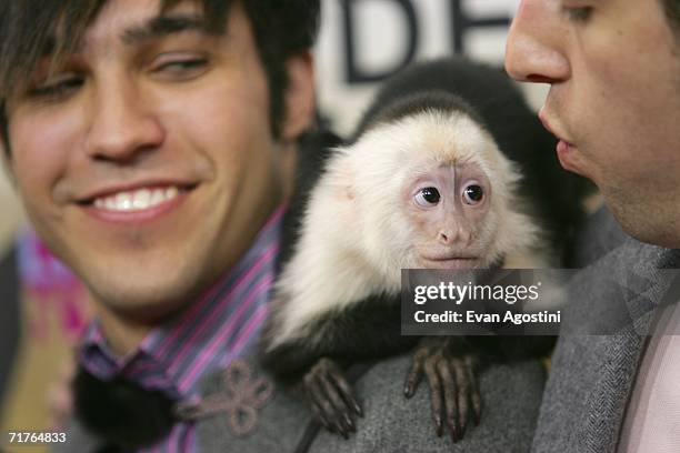 Musicians Pete Wentz and Joe Trohman of Fall Out Boy with a monkey attend the 2006 MTV Video Music Awards at Radio City Music Hall August 31, 2006 in...