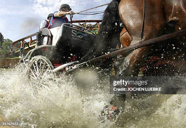 Chester Weber of the US competes in the Four-in-Hand Driving marathon competition of the World Equestrian Games in Aachen 01 September 2006. The...