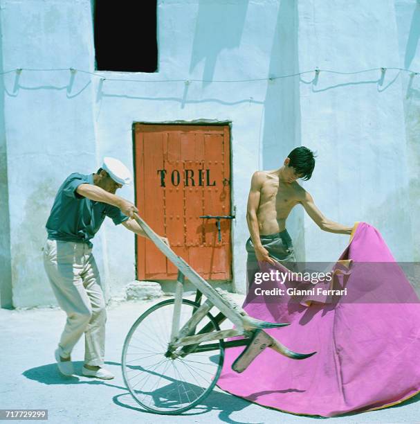 Spanish bullfighter Sebastián Palomo Martínez , known professionally as Palomo Linares, practising with a tourinha, a wheeled training device...