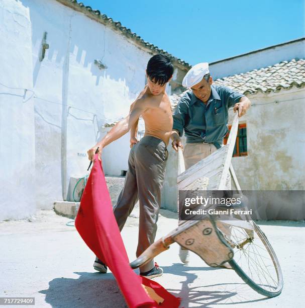 Spanish bullfighter Sebastián Palomo Martínez , known professionally as Palomo Linares, practising with a tourinha, a wheeled training device...