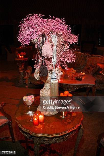 The atmosphere at the Juicy Couture Fragrance Launch Soiree at a private residence September 2, 2006 in Watermill, New York.