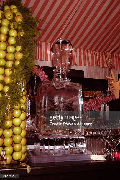 The bar at the Juicy Couture Fragrance Launch Soiree at a private residence September 2, 2006 in Watermill, New York.