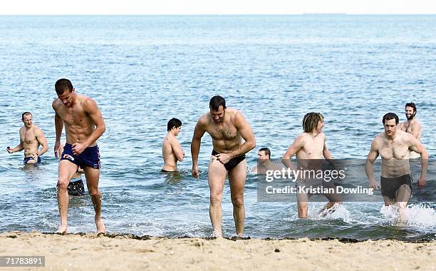 Magpies players leave the water during a Collingwood Magpies recovery session at St Kilda Beach on September 5, 2006 in Melbourne, Australia....