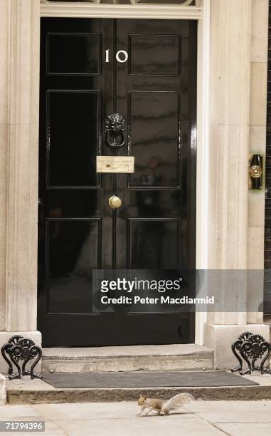Squirrel passes by the door of 10 Downing Street as reporters wait for news regarding resignations within the party on September 6, 2006 in Downing...