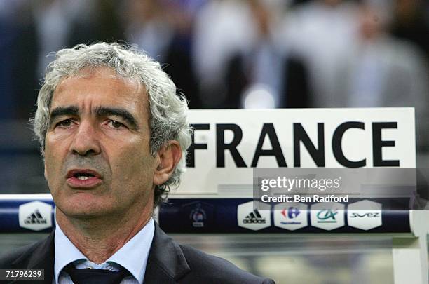 France Coach Raymond Domenech looks on before the Group B, Euro 2008 qualifying match between France and Italy at the Stade de France on September 6,...