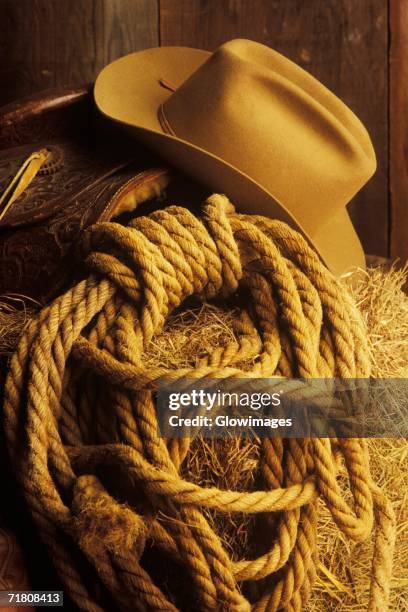 Hay Def 838 Hay Definition Stock Photos, High-Res Pictures, and Images - Getty ...