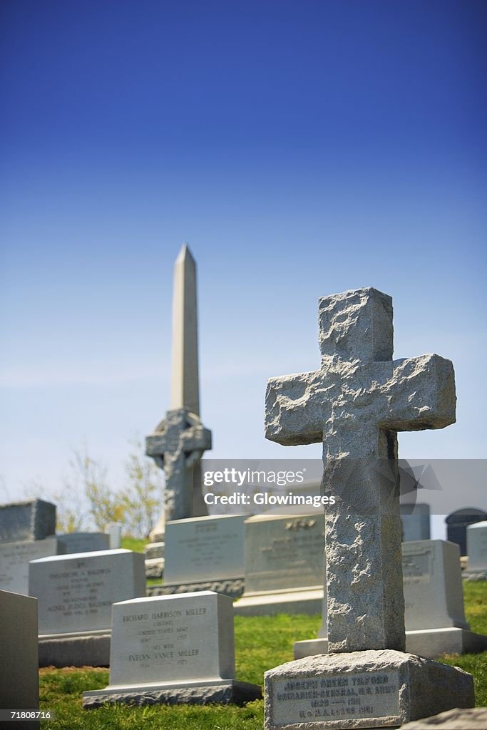 Close-up of graves