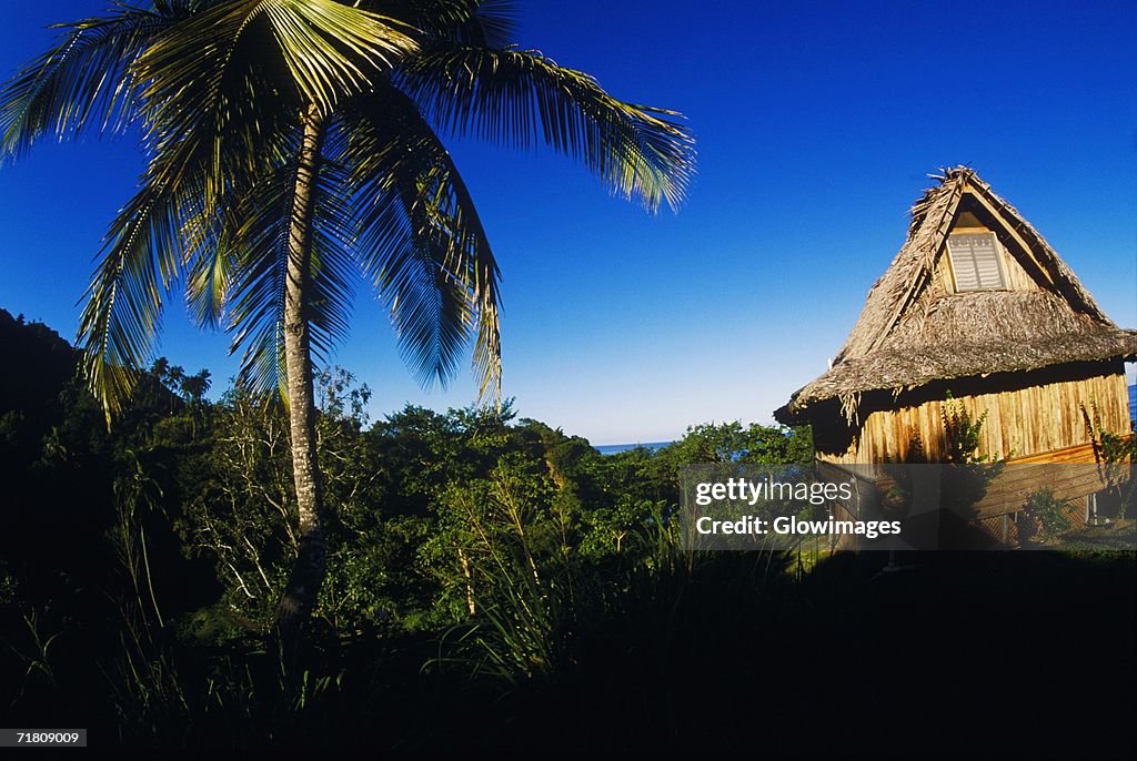 Palm trees and a hut on the beach, Caribbean