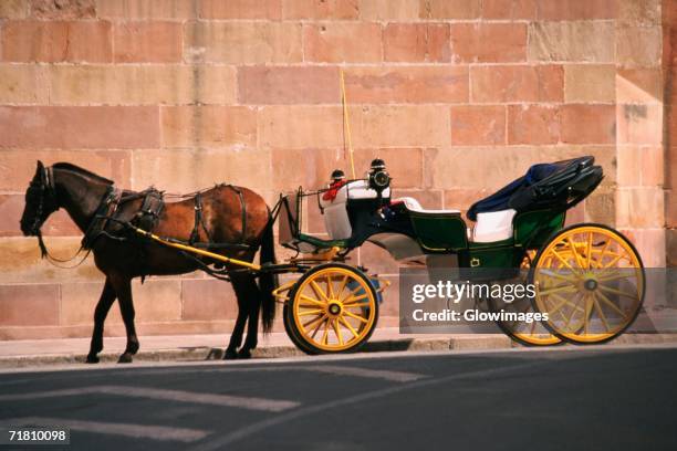 horse pulling a carriage, malaga, spain - coche de caballos fotografías e imágenes de stock