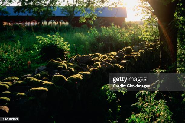 high angle view of a stone wall in a field, vaxjo, sweden - stenen muur stockfoto's en -beelden