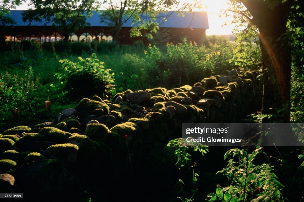 High angle view of a stone wall in a field, Vaxjo, Sweden