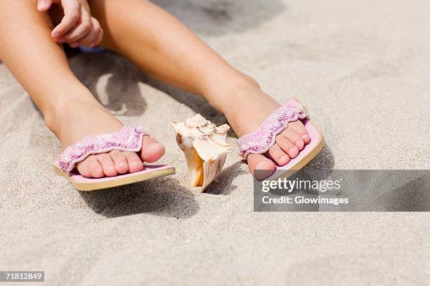 low section view of a person's feet near a conch shell - girl sandals stock pictures, royalty-free photos & images