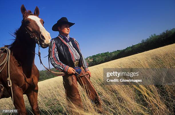 cowboy standing with a horse on a field, texas, usa - reins stock pictures, royalty-free photos & images