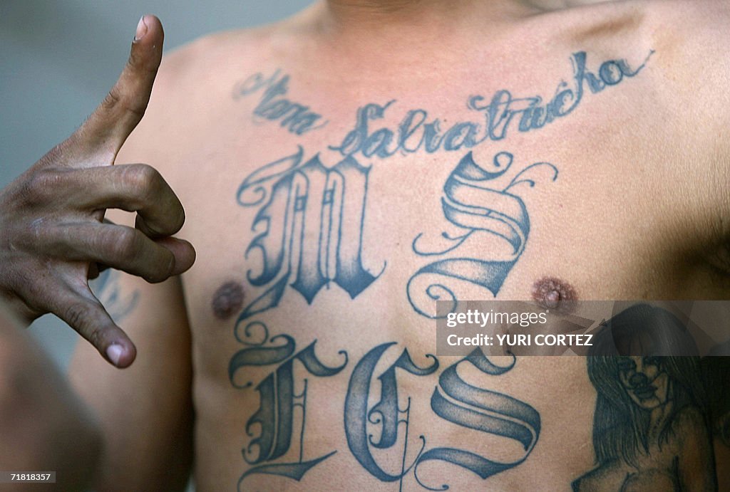 A member of the "Mara Salvatrucha" gang