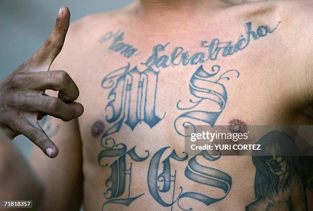 San Salvador, EL SALVADOR: A member of the "Mara Salvatrucha" gang flashes the sign of his gang as he is presented to the press in San Salvador on...