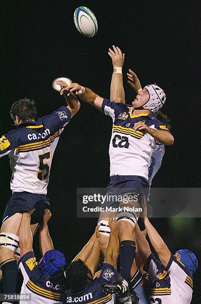 Alister Campbell of the Brumbies wins line out ball during the 2006 APC match between the Brumbies and Waratahs at Viking Park September 8, 2006 in...