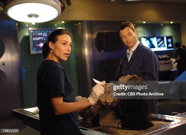 "Not What It Looks Like" -- Dr. Peyton Driscoll and Det. Mac Taylor star in CSI: NY, scheduled to air on the CBS Television Network.