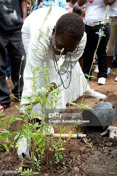 Afeni Shakur-Davis, mother of the late Tupac Shakur, plants her plant in the Peace Garden on September 9, 2006 in Stone Mountain, Georgia.