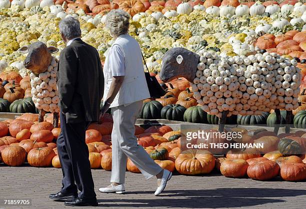 Couple walks past two sheep made of pumpkins at a vegetable farm in Klaistow, eastern Germany 12 September 2006. About 400 sorts of pumpkin are shown...