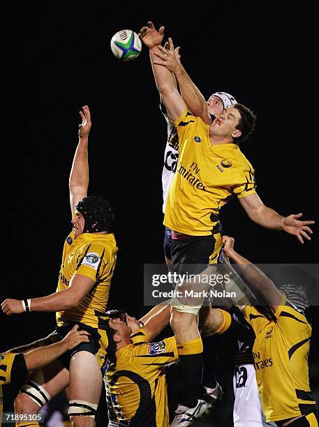 Alister Campbell of the Brumbies competes for line out ball with Luke Doherty of the Force during the APC rugby match between the Brumbies and the...