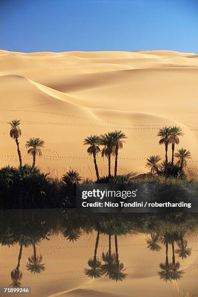 oum el ma (umm el ma) lake, mandara valley, southwest desert, libya, north africa, africa - mandara lakes stock pictures, royalty-free photos & images