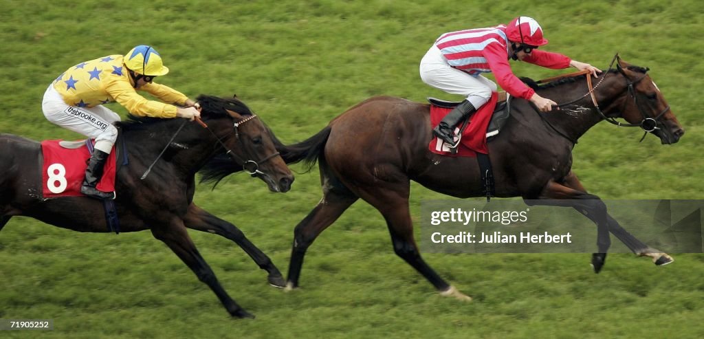 The Dubai Duty Free Golf World Cup Maiden Stakes Race