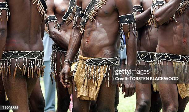 Goroka, PAPUA NEW GUINEA: Rofiwa warriors from Sialum wear tapa groin cloths during the 50th Goroka singsing in what is believed to be the largest...