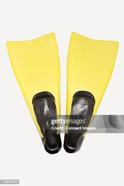 diving flippers - schwimmflosse stock-fotos und bilder