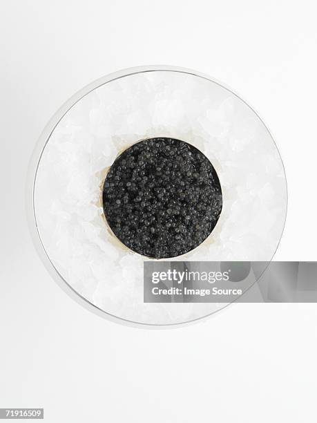 caviar on crushed ice - kaviaar stockfoto's en -beelden