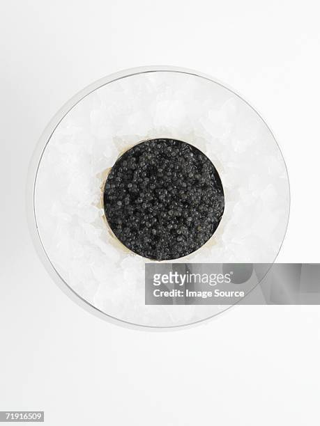 caviar on crushed ice - caviar 個照片及圖片檔