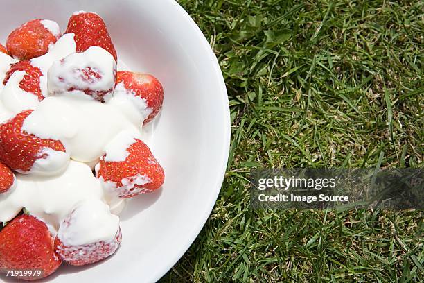 strawberries and cream - strawberry and cream stock pictures, royalty-free photos & images