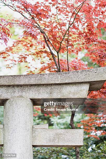 shinto torii - torii gate stock pictures, royalty-free photos & images