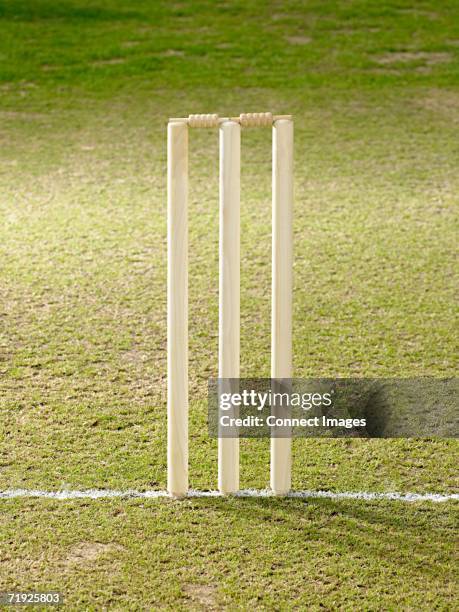 wicket - cricket stumps stock pictures, royalty-free photos & images