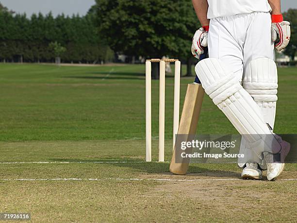 cricketer - cricket competition stock-fotos und bilder