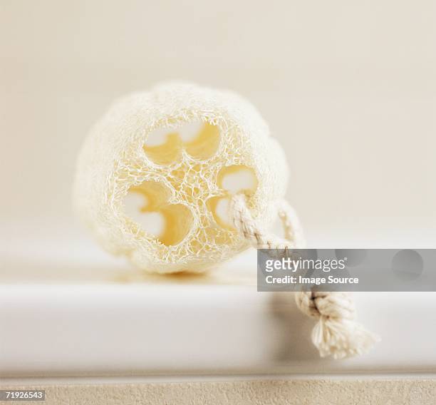 loofah on a rope - loofah stock pictures, royalty-free photos & images