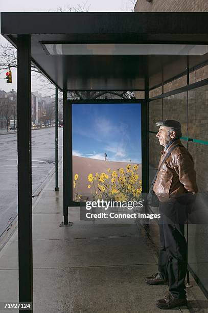 man standing at bus shelter - bus shelter ストックフォトと画像