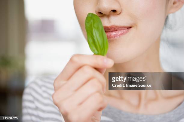woman smelling basil leaf - sensory perception stock pictures, royalty-free photos & images