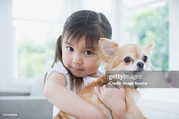 bambina abbracciare un chihuahua - chihuahua dog foto e immagini stock