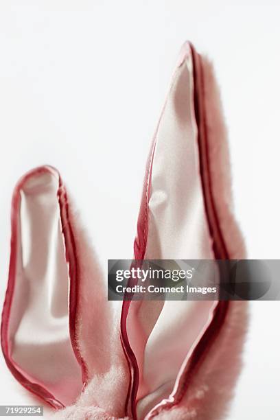 bunny ears - stuffed toy stock pictures, royalty-free photos & images