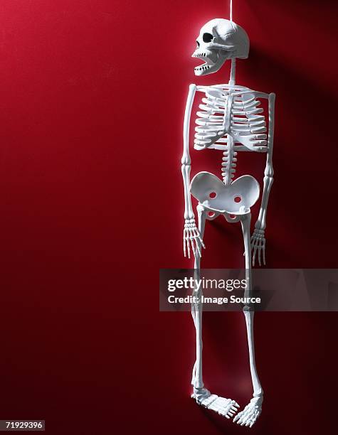 skeleton toy - funny skeleton stockfoto's en -beelden